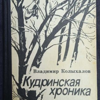 Книга "Кудринская хроника"