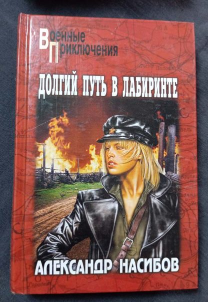 Книга "Долгий путь в лабиринте"