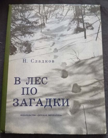 Книга "В лес по загадки"