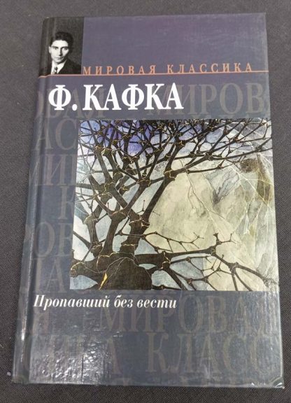 Книга "Пропавший без вести"