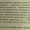 Аннотация к книге Книга "Чайный гриб"