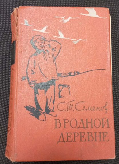 Книга "В родной деревне"