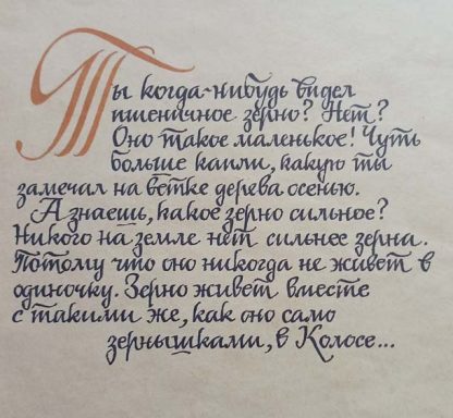 Аннотация к книге "Сказ о пшеничном колосе"