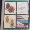 Книга "Общая биология" 9-10 класс