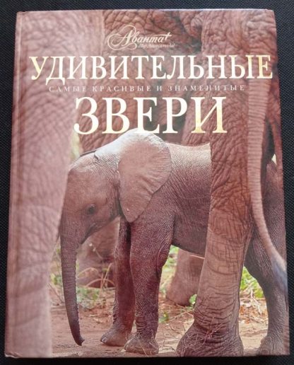 Книга "Удивительные звери"