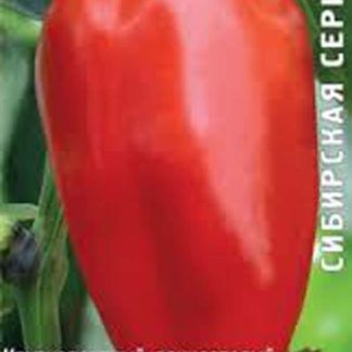 Семена перец "Байкал"
