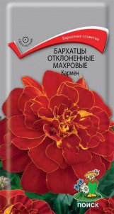 Семена Бархатцы отклонённые махровые "Кармен"