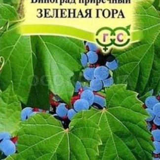Семена Виноград прибрежный "Зелёная гора"