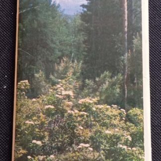 Набор открыток "Сибирь цветёт" Выпуск 1