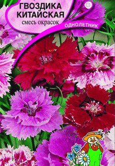 Семена Гвоздика "Китайская" (смесь)