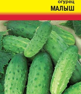 Семена огурец "Малыш"