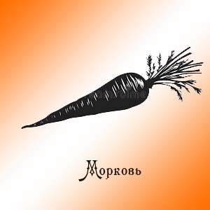 Морковь
