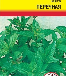 Семена мята перечная