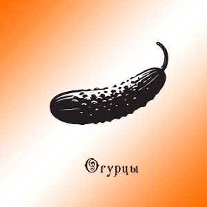 Огурцы