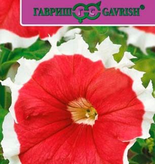 Семена Петуния "Хулахуп бургунди"