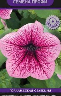 Семена Петуния "Танго" (Розовая с вишнёвыми жилками)