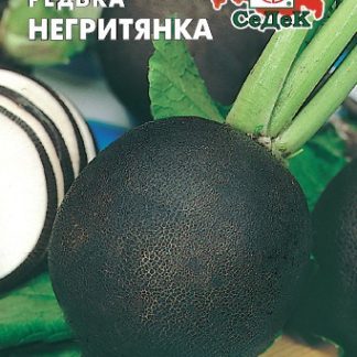 Семена редька "Негритянка"