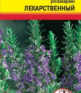 Семена розмарин "Лекарственный"