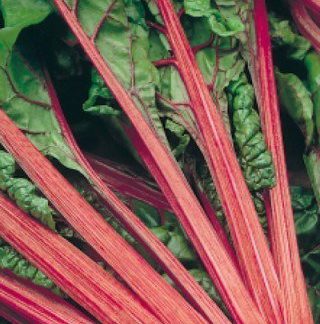 Семена мангольд "Рубин" (листовая свёкла)