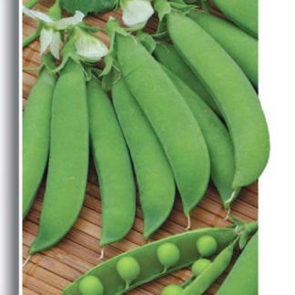 Семена горох "Амброзия" (сахарный)