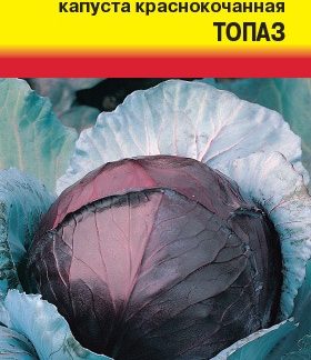 Семена Капуста краснокочанная "Топаз"
