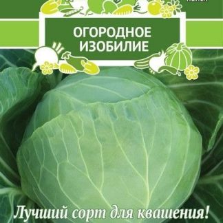 Семена Капуста "Слава 1305"