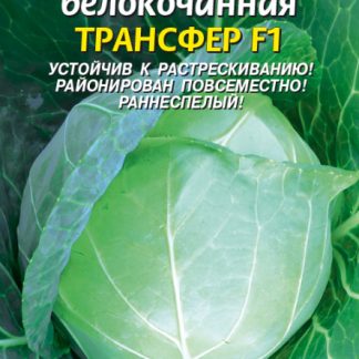Семена Капуста "Трансфер"