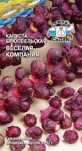 Семена капуста брюссельская "Весёлая компания" (красная)