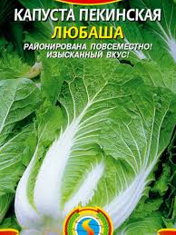 Семена капуста пекинская "Любаша"