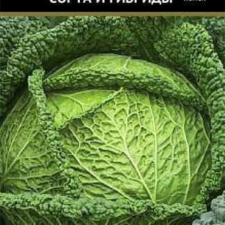 Семена капуста савойская "Уралочка"