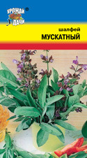Семена шалфей "Мускатный"
