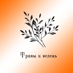 Приправы, травы и зелень