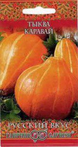 Семена Тыква "Каравай"