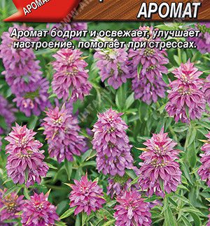 Семена Бергамот "Цитрусовый аромат"