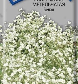 Семена Гипсофила "Метельчатая белая"