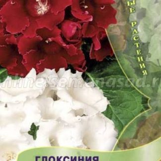 Семена Глоксиния "Жозефина"