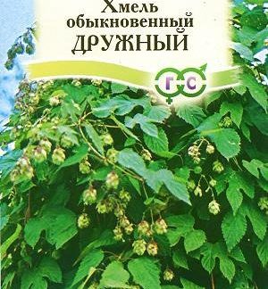 Семена Хмель "Дружный"